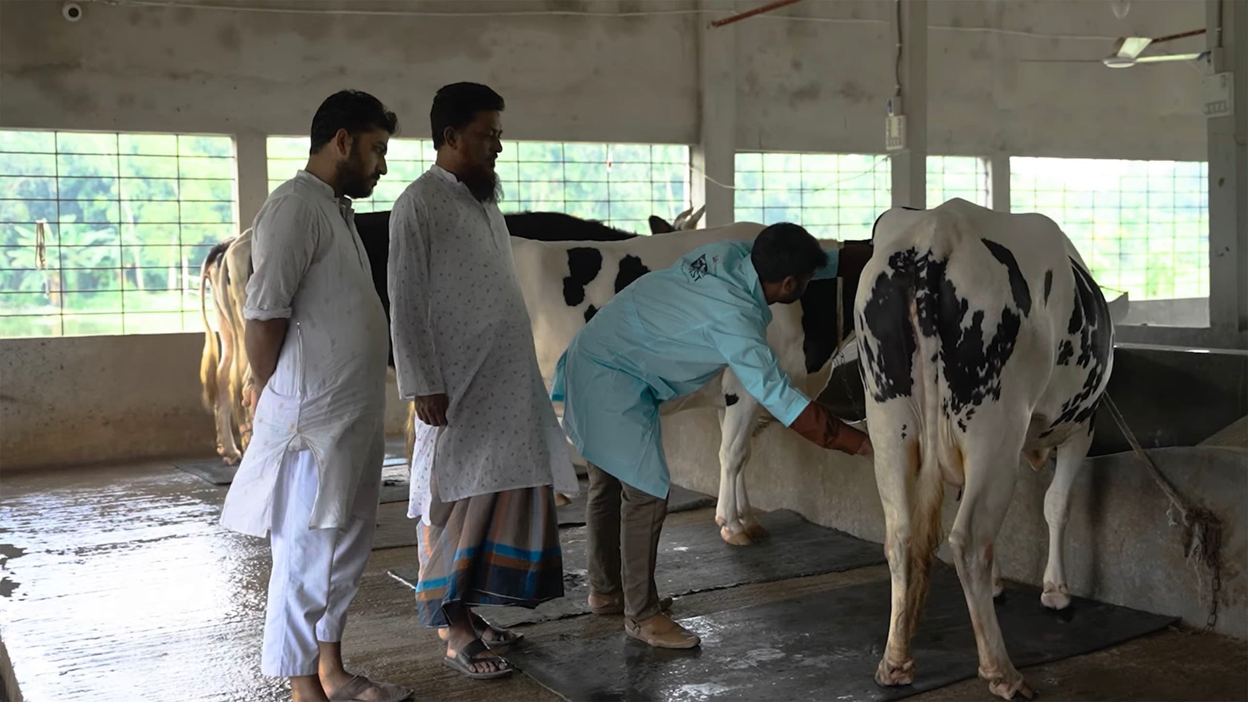 Animal Welfare & Ethics
